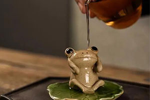 frog tea pet